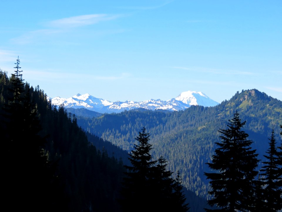 Mt. Rainier NP in WA