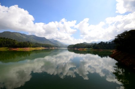 Munnar-Kerala.