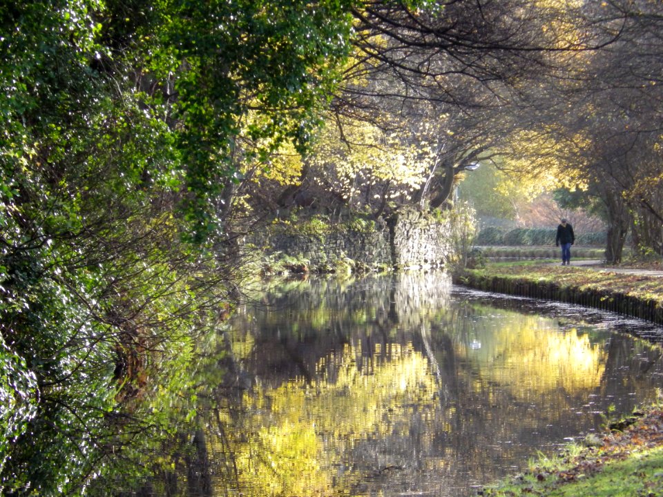 Calder & Hebble Navigation