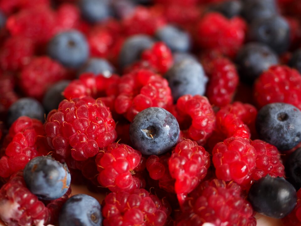 Fruits sweet red