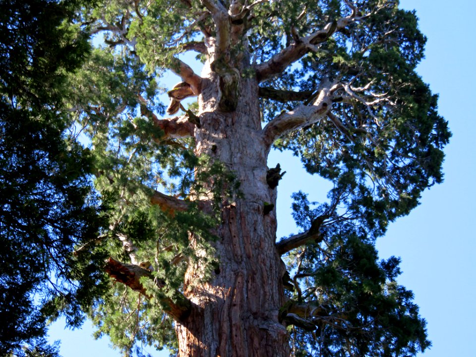 Kings Canyon NP in CA