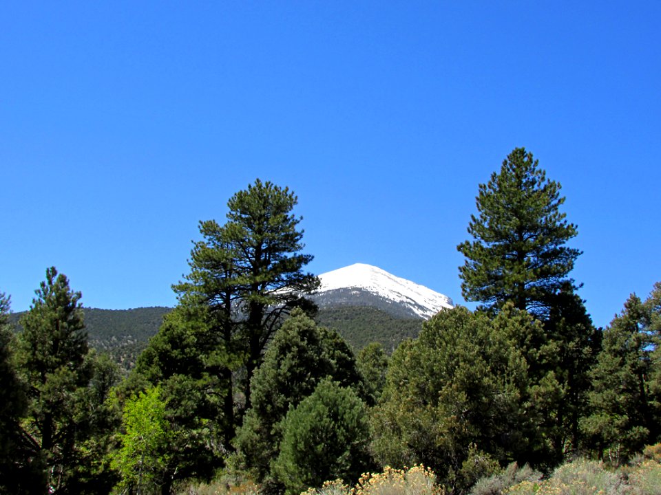 Great Basin NP in NV