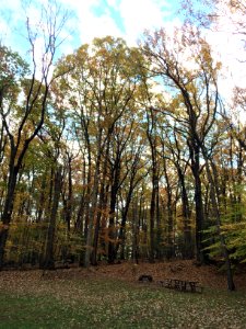 Rock Creek Park's Picnic Area 16 in Autumn