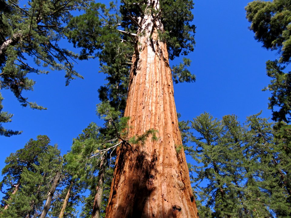 Kings Canyon NP in CA