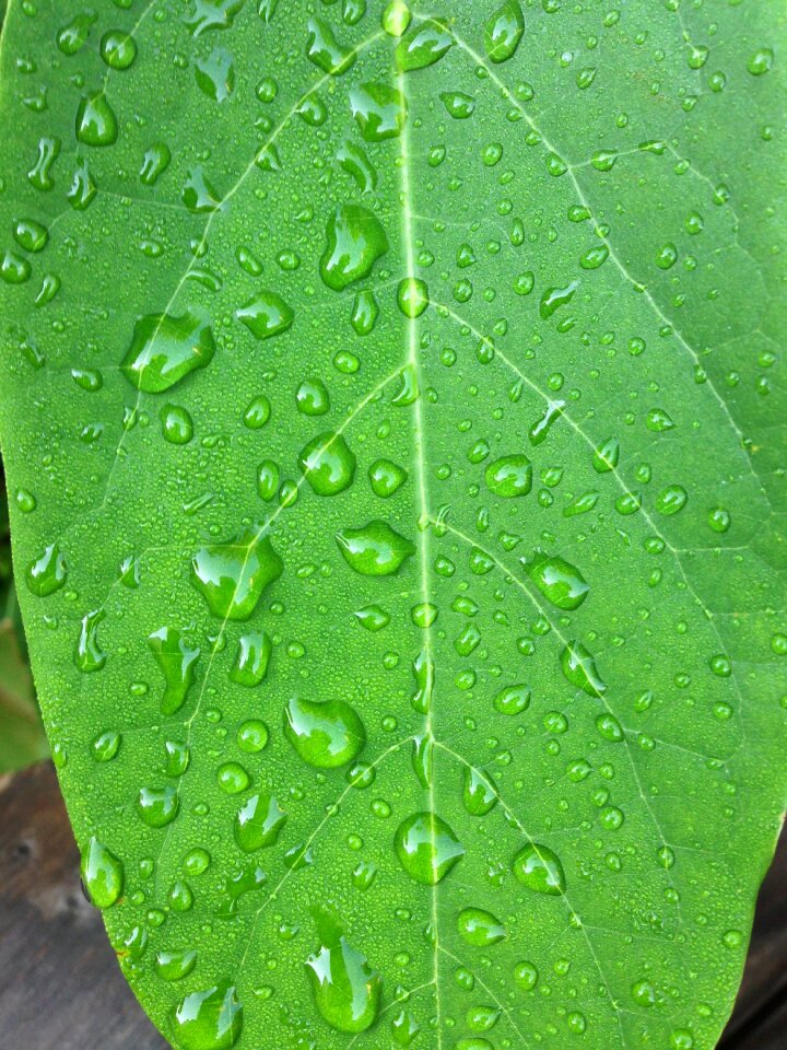 Green drop of water costs