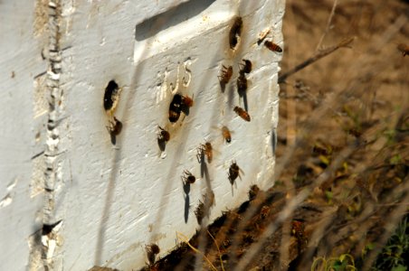 20120720-KS-Reclamation-0043