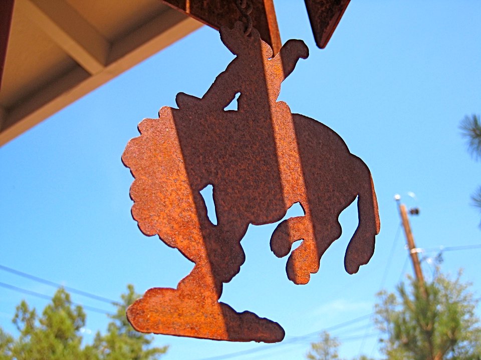 Ride 'em Cowbuy!
