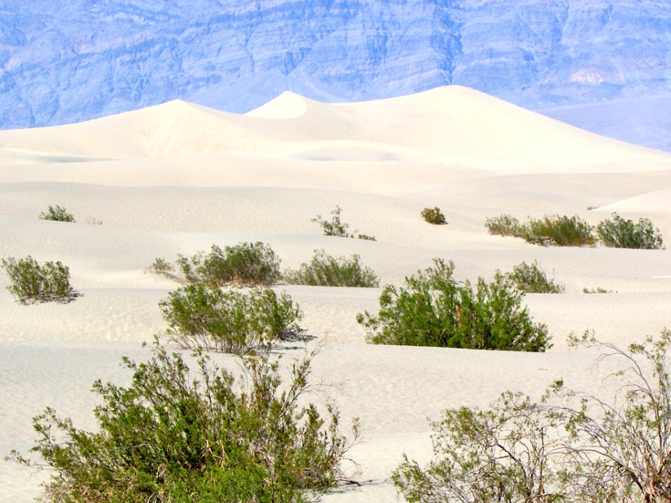 Mesquite Flat Sand Dunes at Death Valley NP in CA