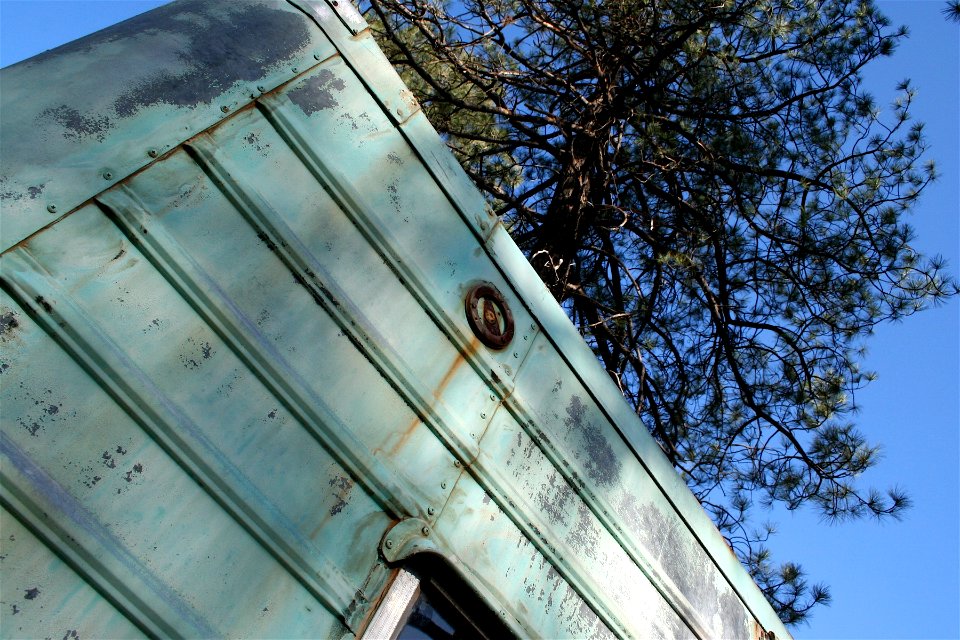 Trailer 'n Tree