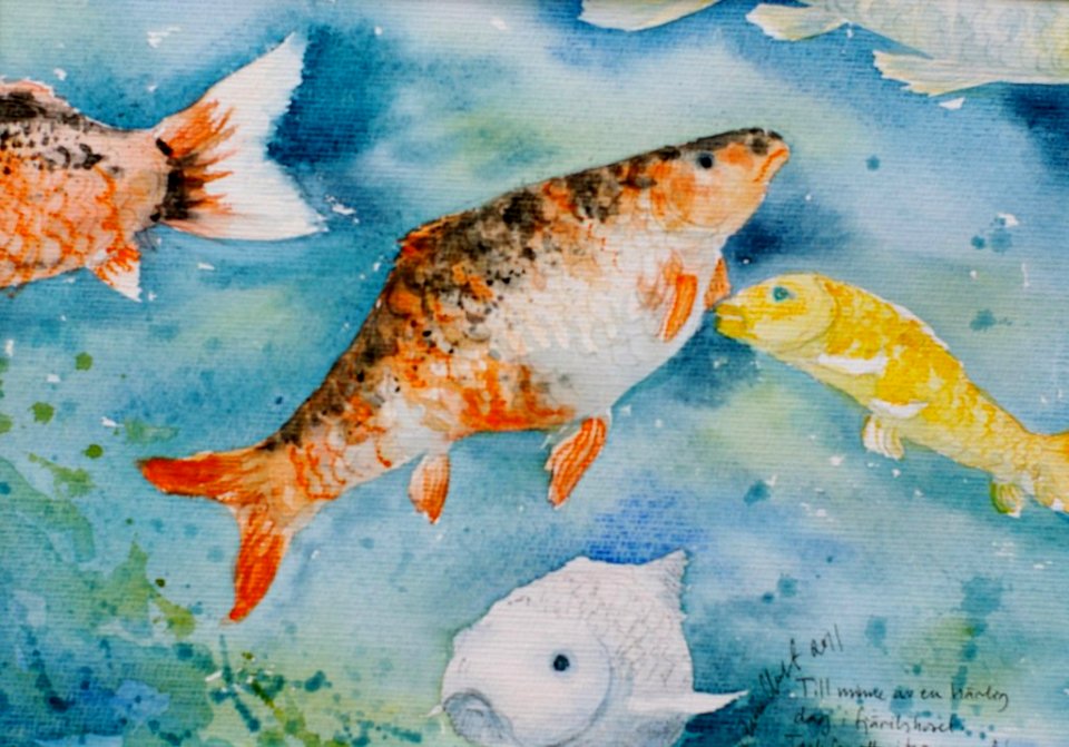 some fish