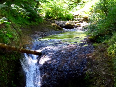 Oneonta Creek at Columbia River Gorge in Oregon