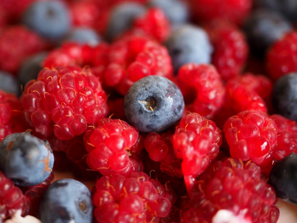 Fruits sweet red