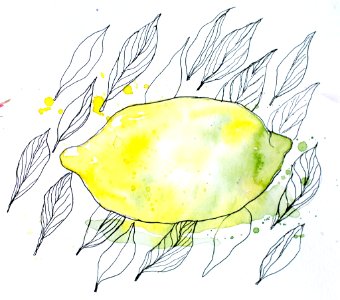 Lemon