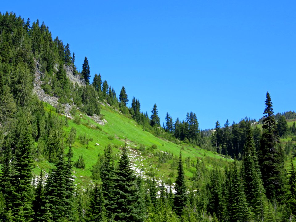 Mt. Rainier NP in WA