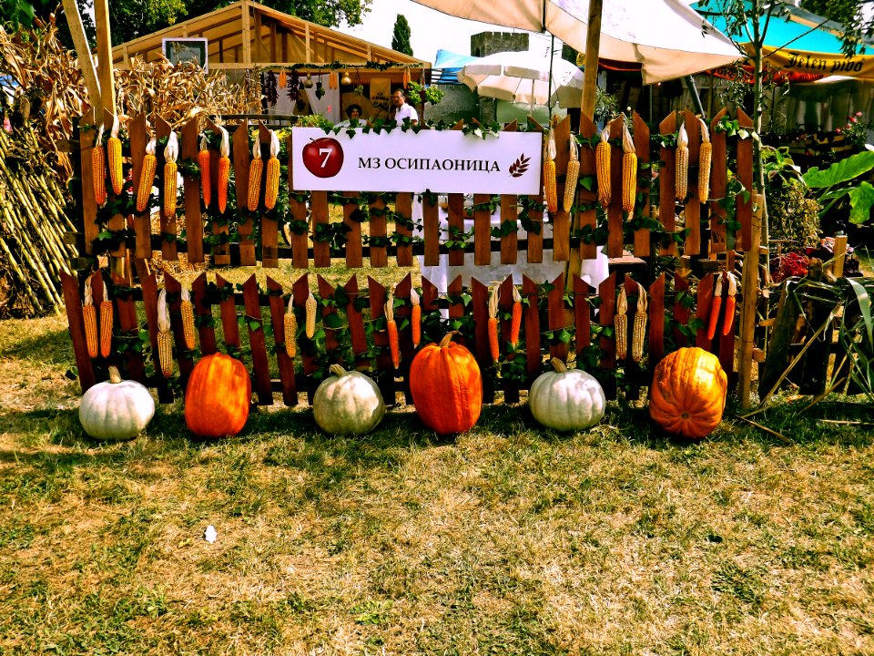 Parade of Pumpkins