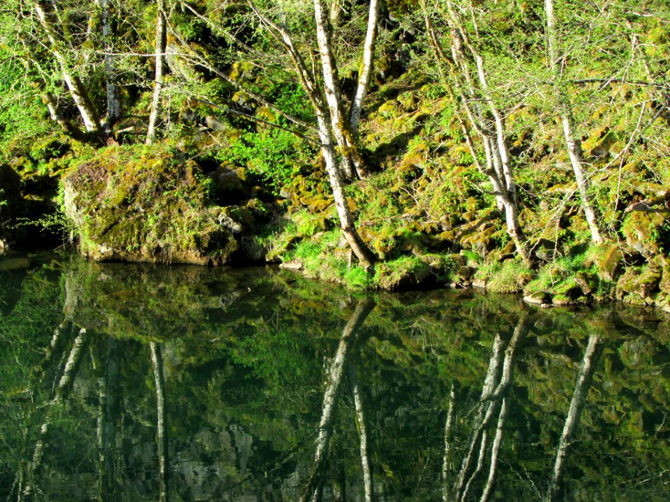 Gifford Pinchot National Forest in Washington
