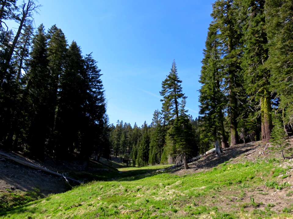 Lassen Volcanic NP in CA