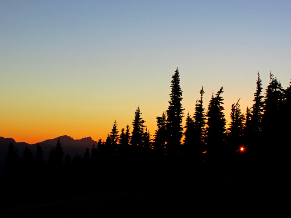 Sunset at Hurricane Ridge at Olympic NP in WA