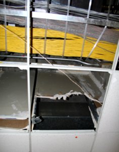 Ceiling Secrets