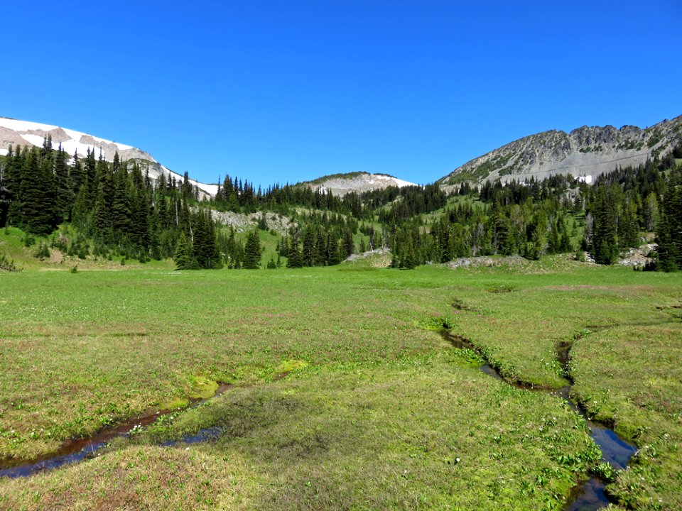 Mt. Rainier NP in Washington