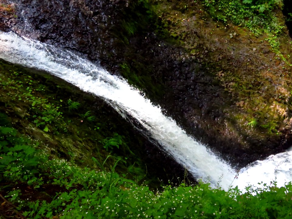 Oneonta Creek at Columbia River Gorge in Oregon