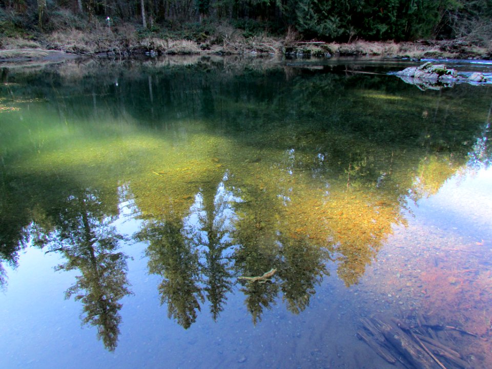 Lucia Falls Park at Lewis River in WA