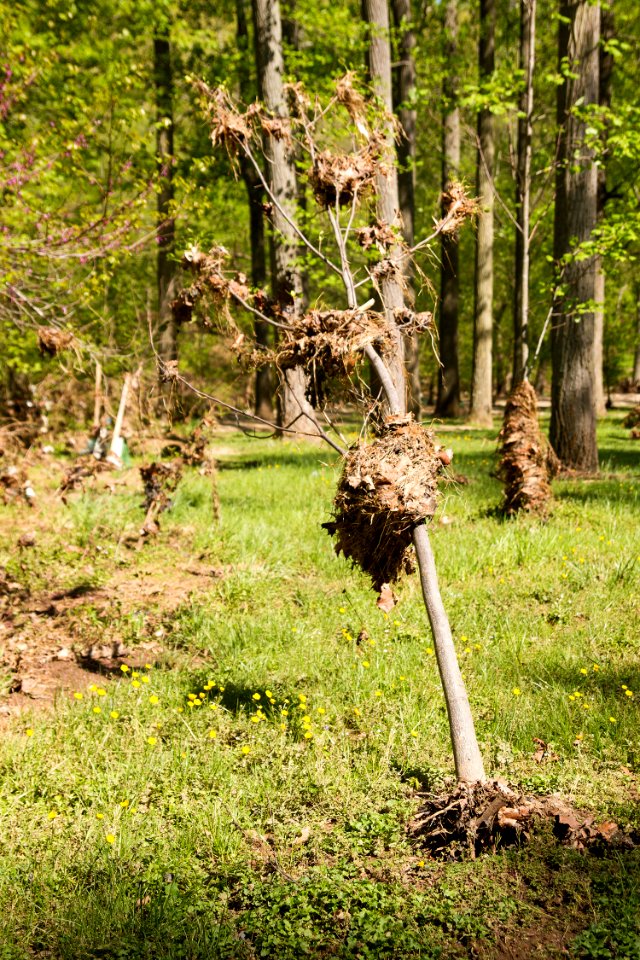 Flood debris