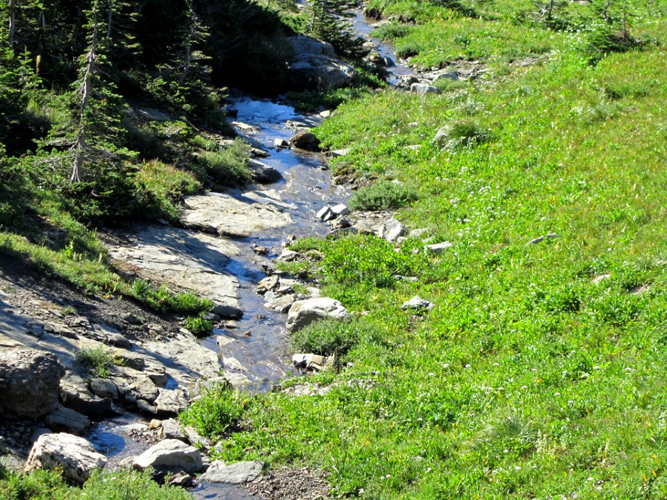 Glacier NP in MT