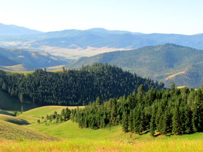 National Bison Range in MT photo