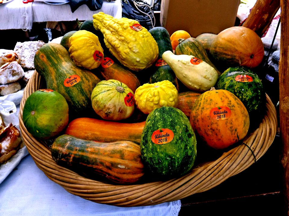 small gourds, Kikinda