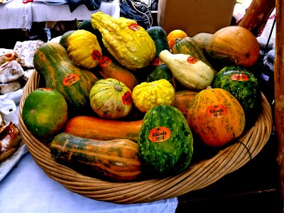 small gourds, Kikinda photo