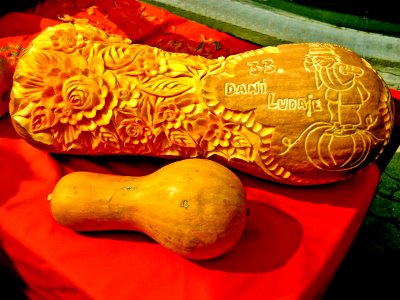 the art of carving gourds