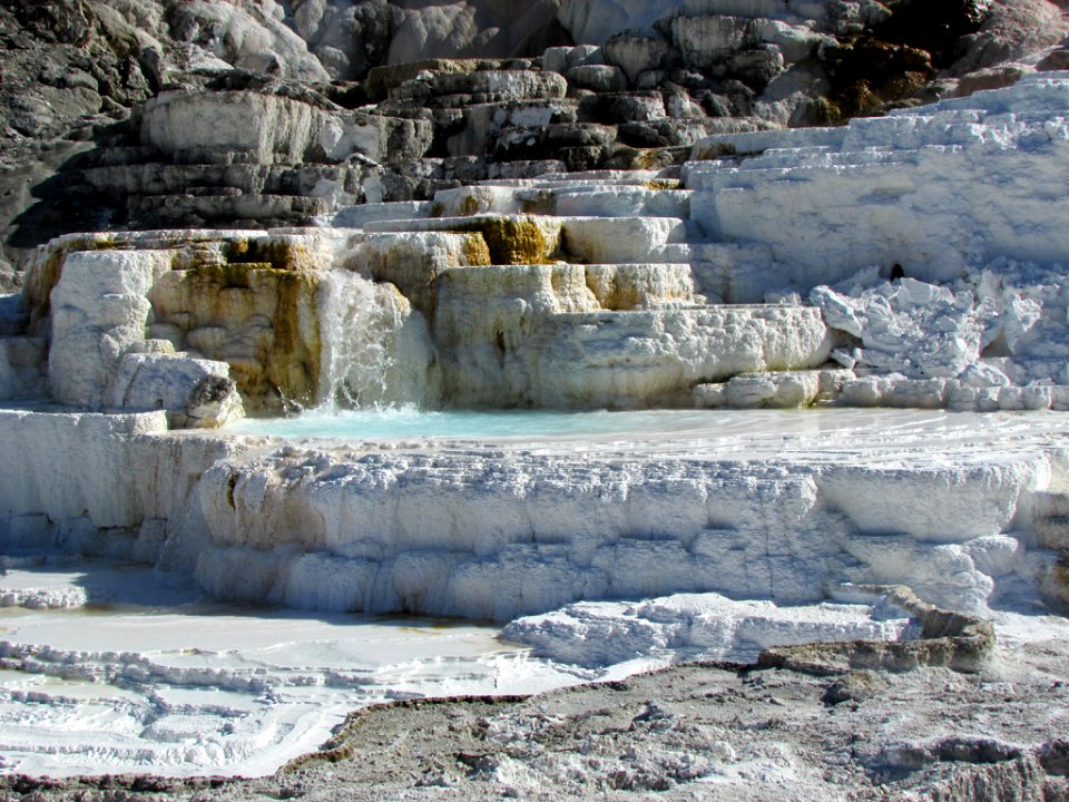 Yellowstone NP in WY