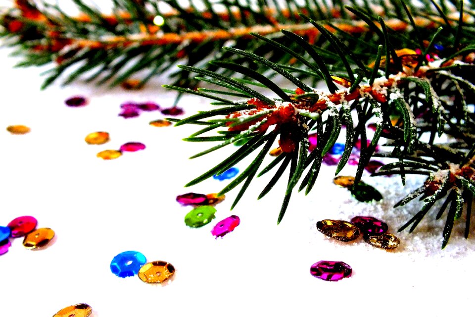 Christmas eve christmas tree snow