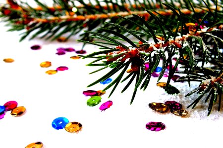 Christmas eve christmas tree snow