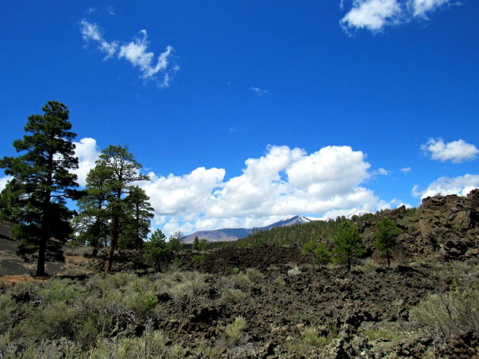 Sunset Crater Volcano NM in Arizona