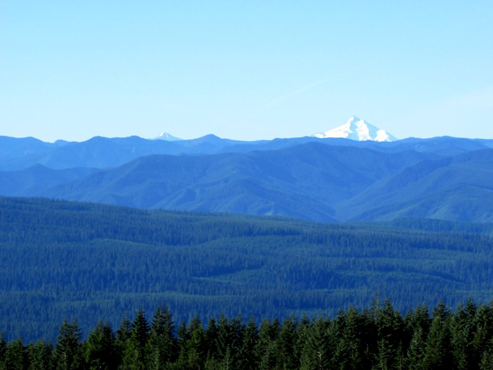 View of Mt. Jefferson from Larch Mt. in OR