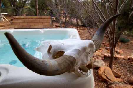 Herman Takes a Dip in the Hot Tub
