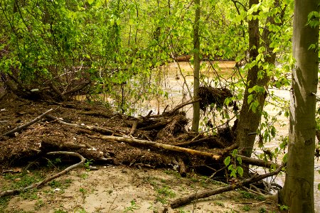 Post-flood debris