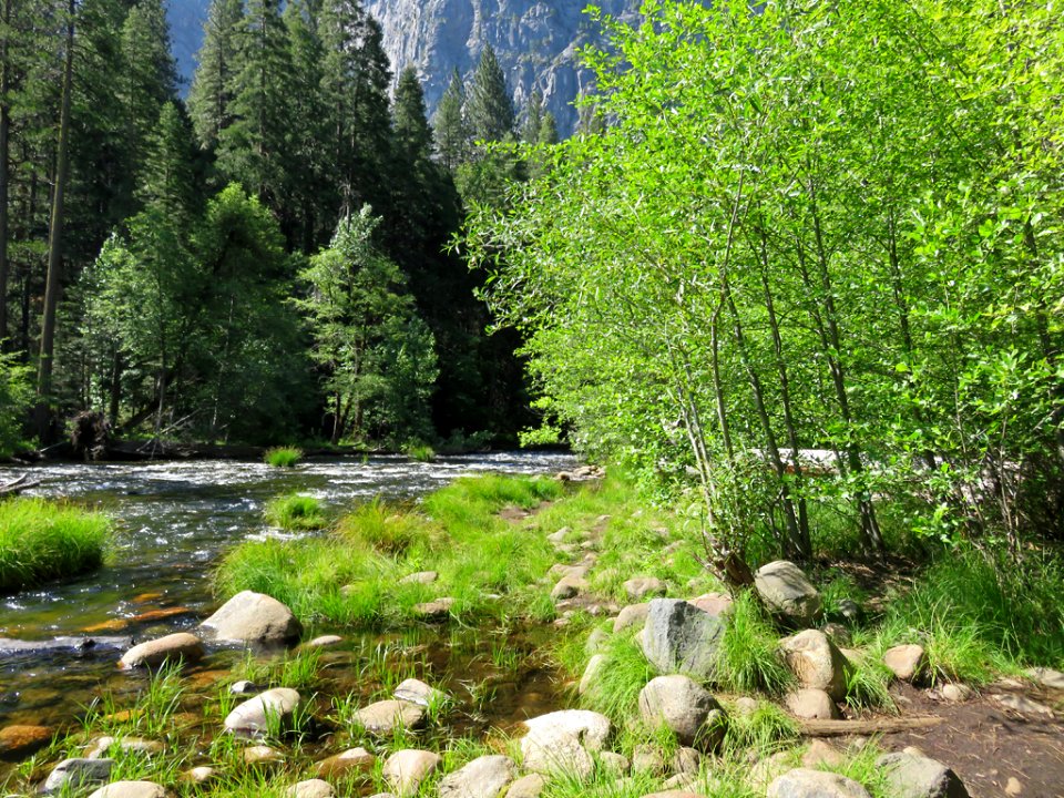 Merced River at Yosemite NP in CA