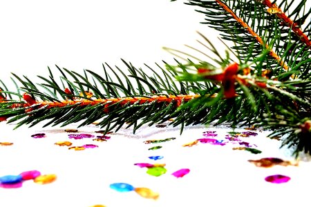 Christmas eve christmas tree snow