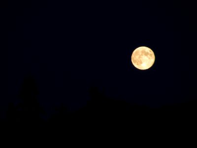 Full Blue Moon in WA 8/31/12 photo