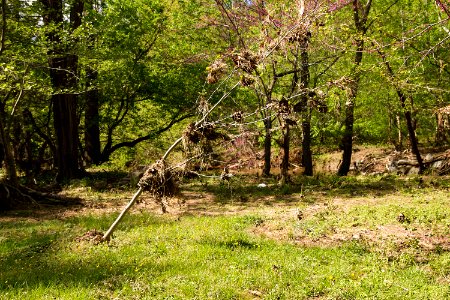 Rock Creek Floodplain