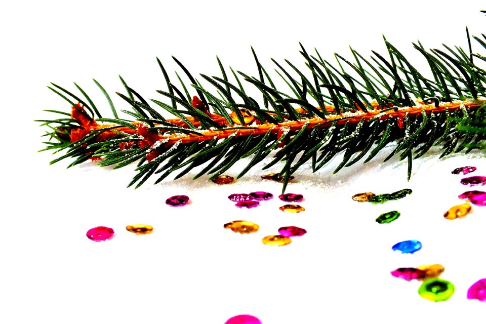 Christmas eve christmas tree snow
