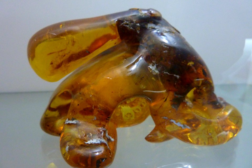 Museo del Ambar - Octopus.
