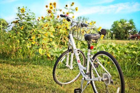 Summer leisure cycle photo