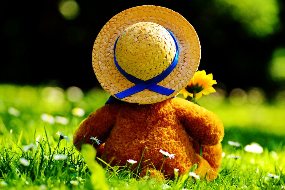 Stuffed animal teddy cute
