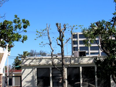 IMG 0944