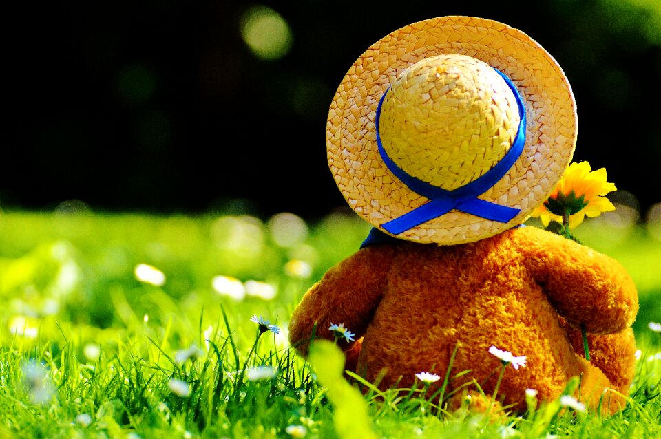 Stuffed animal teddy cute