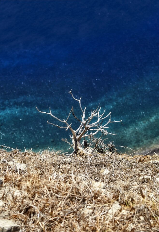 Nature coast ocean